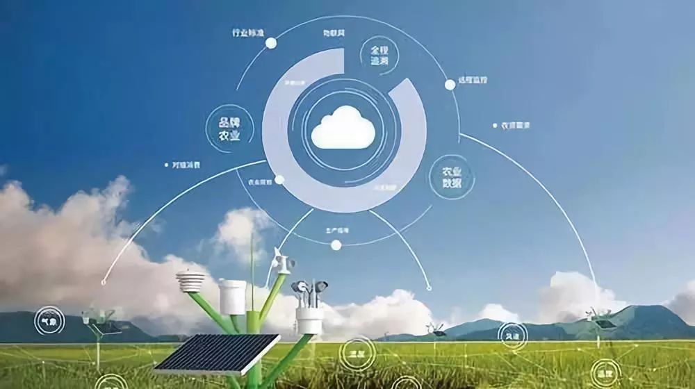 數(shù)據(jù)賦能，智慧興農(nóng) 大數(shù)據(jù)為鄉(xiāng)村振興注入新動能